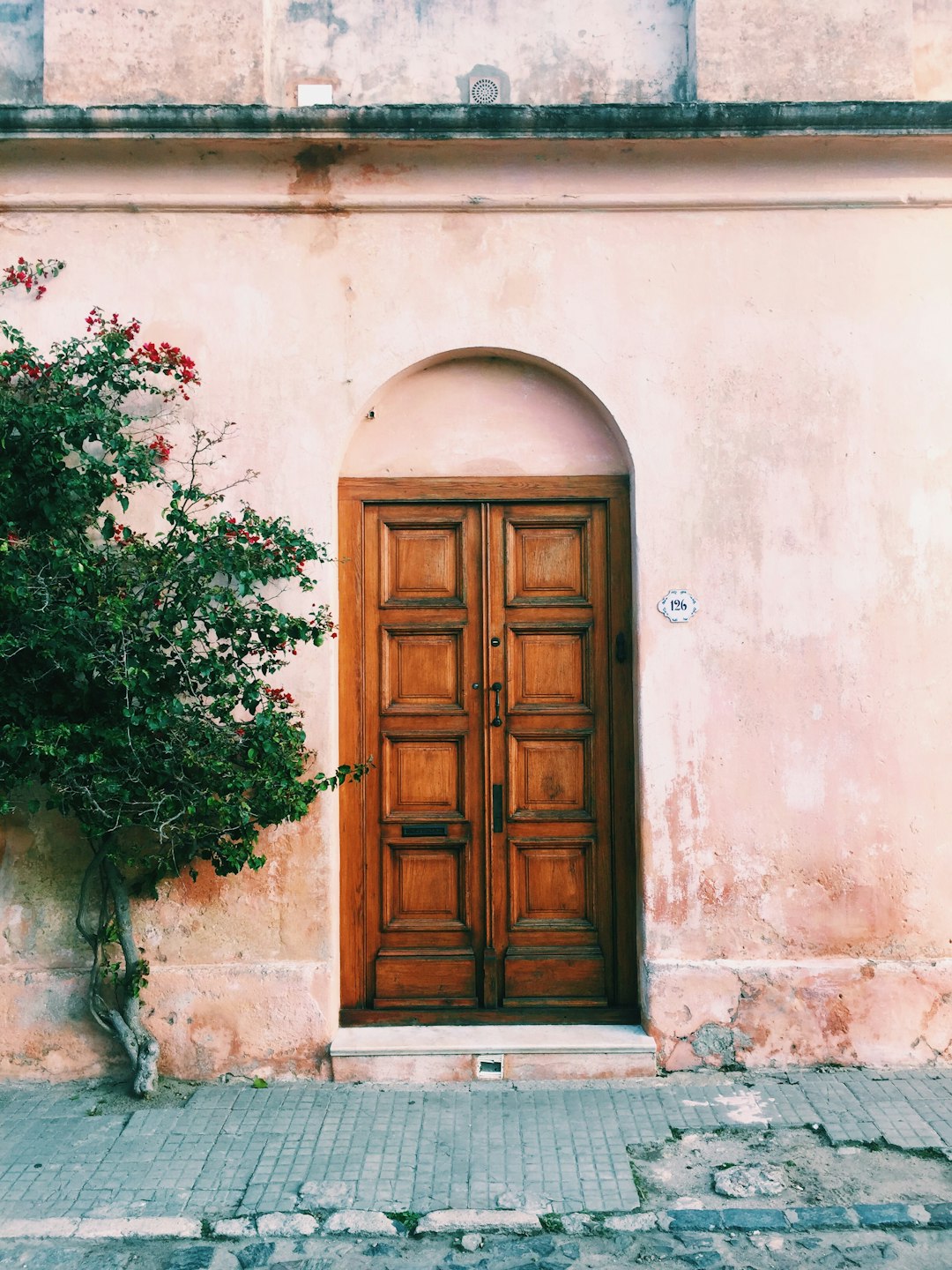 A Door And A Tree Stand In Front Of A Pink Building